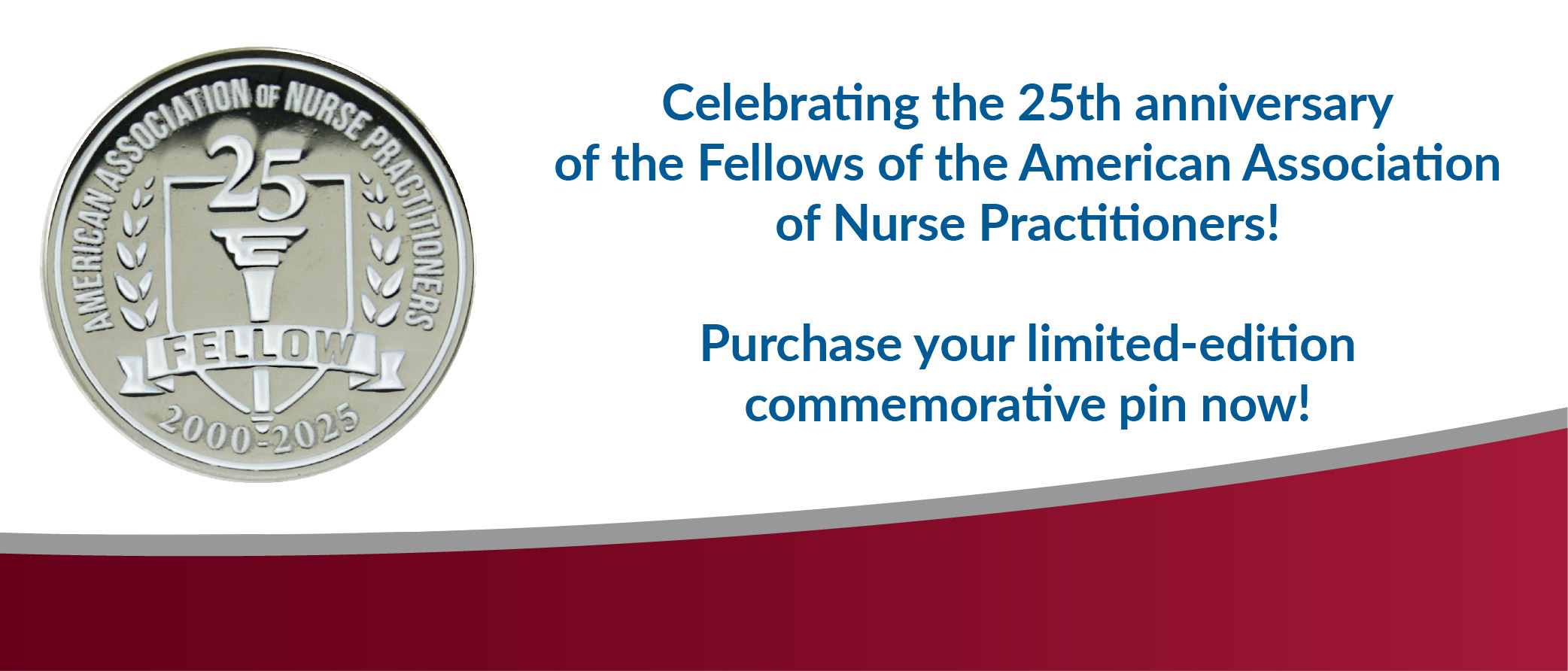 AANP 25th Anniversary Pin